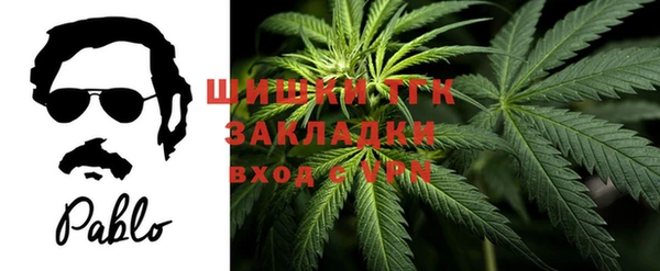 крисы Алзамай