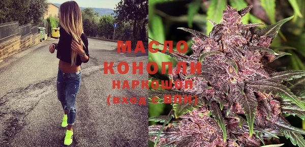 крисы Алзамай
