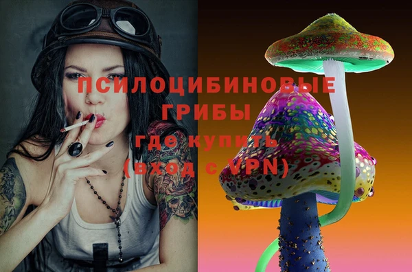 крисы Алзамай
