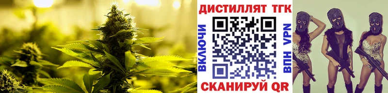 купить закладку  Медынь  мориарти как зайти  ТГК THC oil 