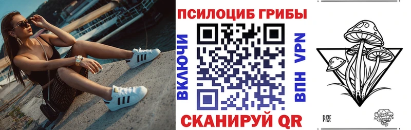 Псилоцибиновые грибы Psilocybine cubensis  Медынь 